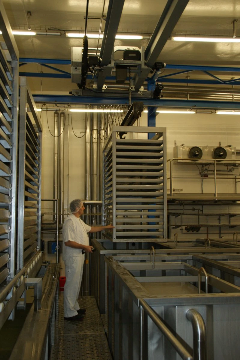 GIS GPR500-GMFR elektricna lancana dizalica otporna na koroziju elektricna dizalica za prehrambenu industriju elektricna dizalica za farmaceutsku industriju